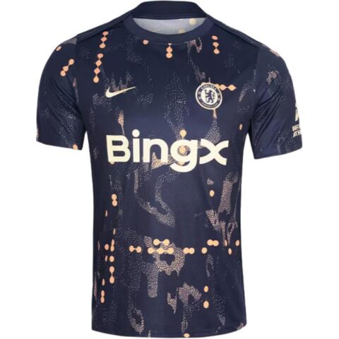 Nike Chelsea Fc Academy Pro Se Men's Nike Dri FIT Soccer Pre Match Short Sleeve Top