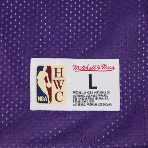 Mitchell Ness Basketball Jersey Unisex Purple
