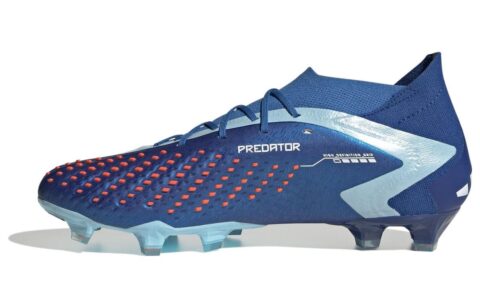 Adidas Predator Accuracy.1 Fg 'Blue'