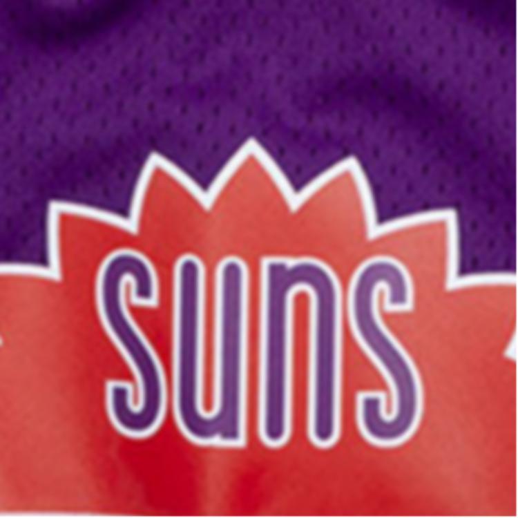 Mitchell Ness Basketball Shorts Men’s Purple