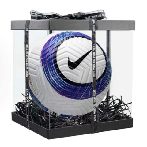Nike Size 3, Size 4, Size 5 Ball Soccer Ball Machine Stitched Soccer Ball Blue White
