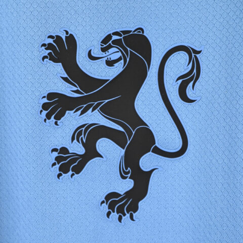Nike Netherlands 2025 Stadium Away (Women’s Team) Men’s Nike Dri-FIT Soccer Replica Jersey