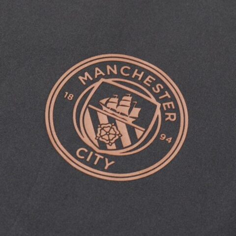 PUMA MCFC Soccer Jerseys Men’s Gray Moderate Straight Fit