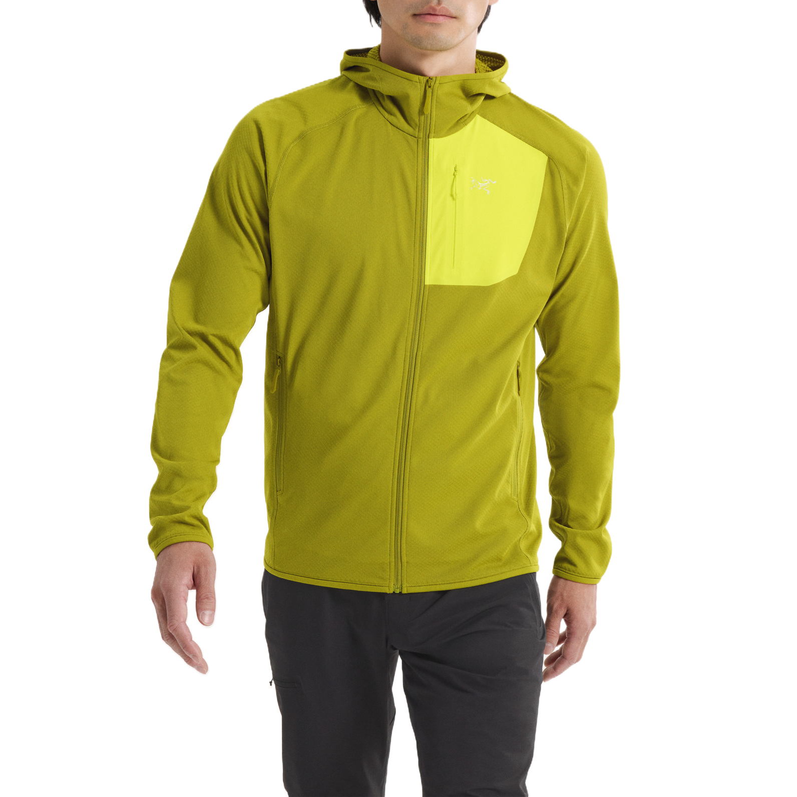 Arc’teryx DELTA Fleece Clothing Men’s