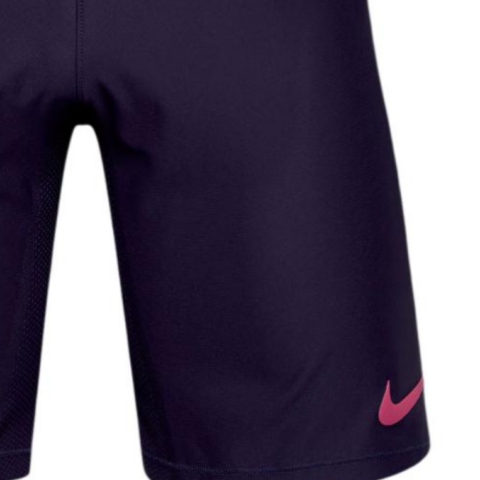 Nike Dri FitFC Barcelona 16/17 Vapor Match Soccer Bottom Men’s Purple/Pink