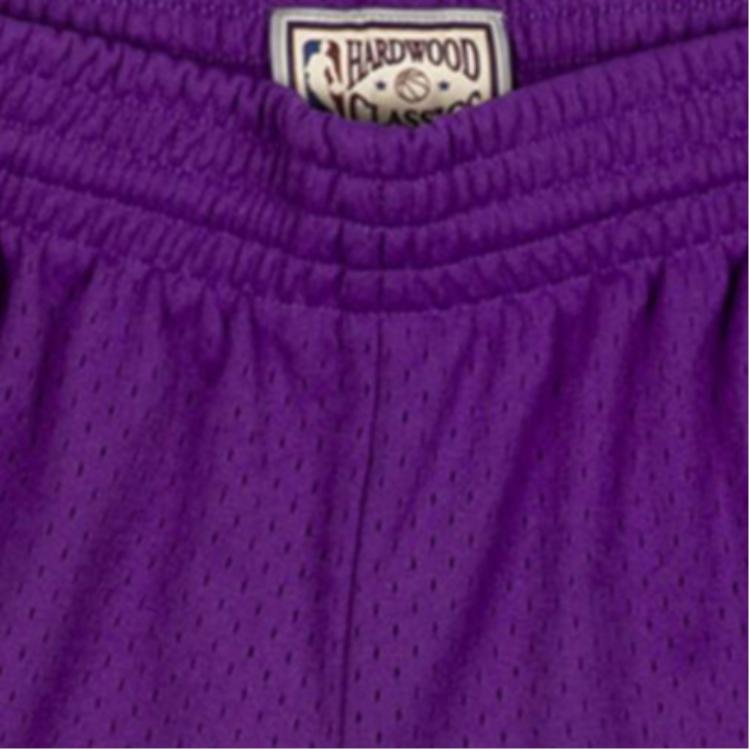 Mitchell Ness Basketball Shorts Men’s Purple
