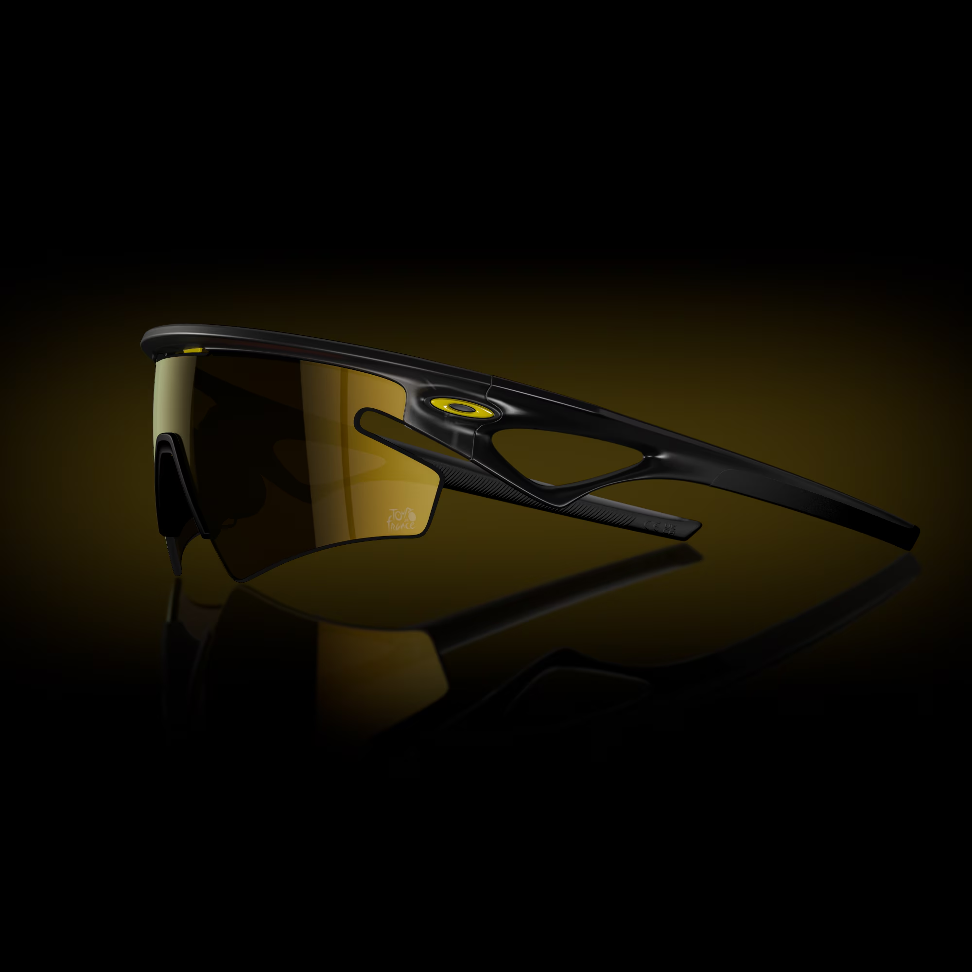 Oakley Everyday Unisex Cycling Glass