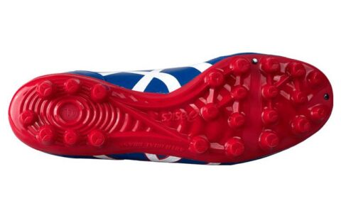 Asics DS Light AG ‘Blue Red’