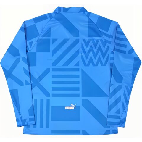 PUMA Soccer Jerseys Men’s Blue Moderate
