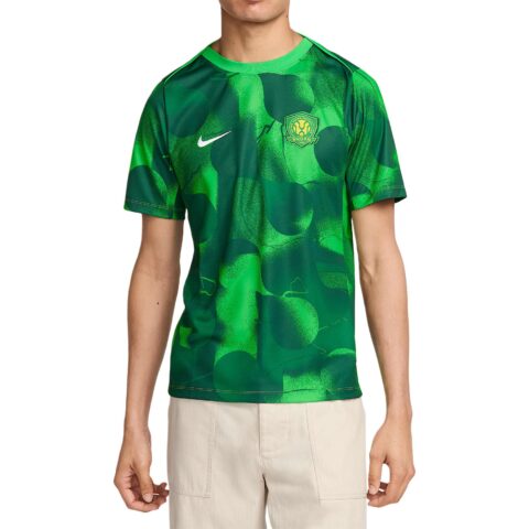 Nike Soccer Jerseys Men’s Green Moderate