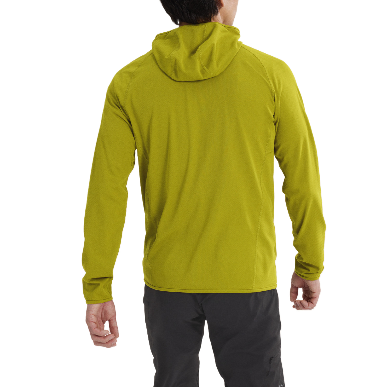 Arc’teryx DELTA Fleece Clothing Men’s
