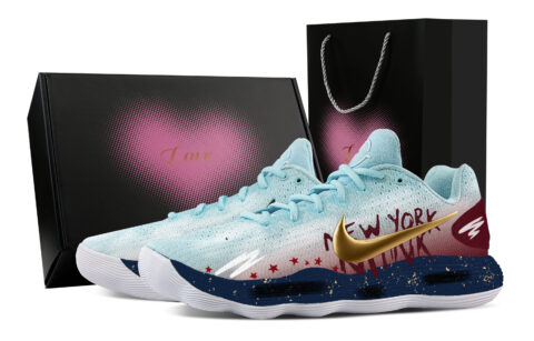 Nike Hyperdunk 2017 Champion Starry Sky, Heart Box Cushioning Coverage Support Low top Basketball Shoes Men’s Blue Red