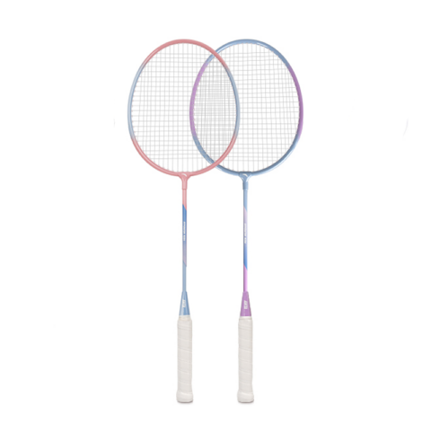 Anta Aluminum Alloy Badminton Rackets Control Type All around Defense Entry level 675mm 1U/G4 Fresh Colorway