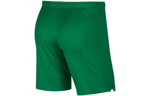 Nike Soccer Bottom Men’s Pine Green/Opeet Yellow
