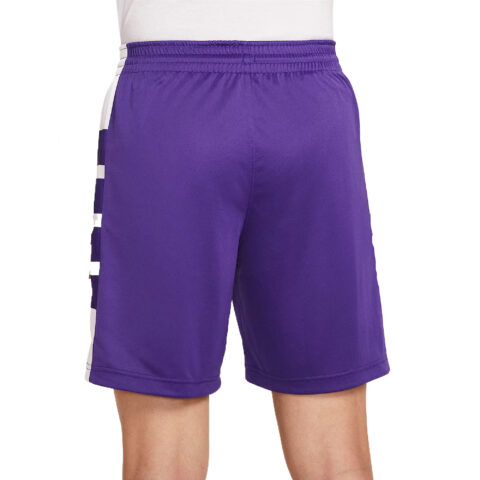 Nike Dri Fit Sports Shorts Men’s Team Purple