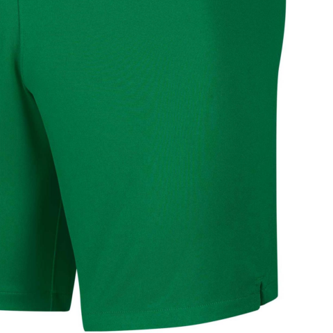 Nike Soccer Bottom Men’s Pine Green/Opeet Yellow