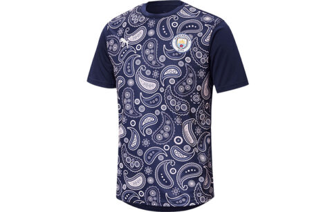 PUMA Soccer Jerseys Men’s Tweed Blue Moderate Straight Fit