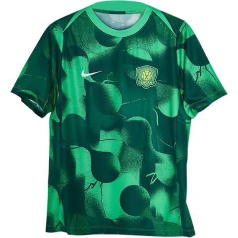 Nike Soccer Jerseys Men’s Green Moderate