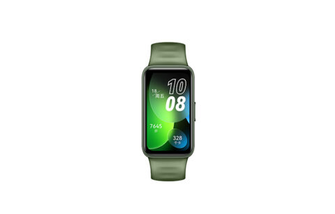 HUAWEI Wristband 8 NFC Wrist Lift Payment Smart Bracelets