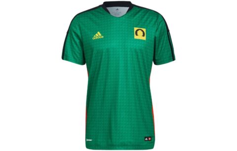Adidas Soccer Jerseys Men’s Green Moderate Straight Fit