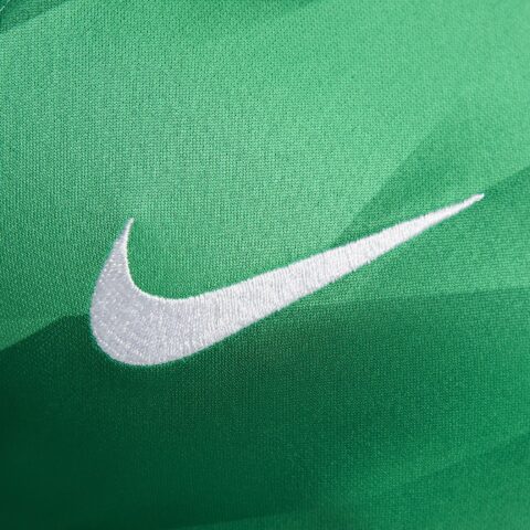 Nike Paris Saint Germain 2023/24 Stadium Goalkeeper Soccer Jersey Men’s Stadium Green/Stadium Green/Malachite/White