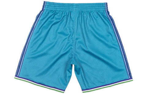 Mitchell & Ness Nba Charlotte Hornets 99 00 Swingman Shorts