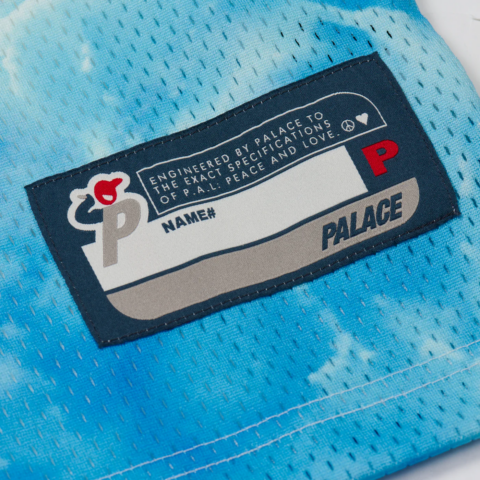 PALACE 1 Truth Jersey