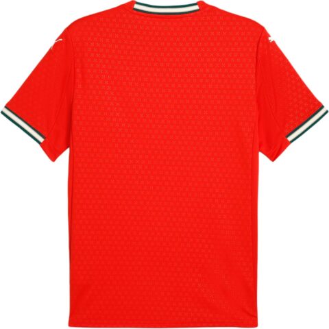 PUMA Jersey Local Portugal 2025 Para Hombre