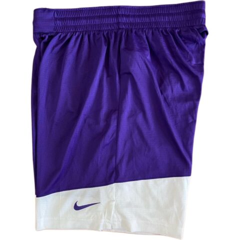 Nike Basketball Shorts Men’s Purple