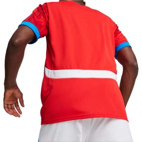 PUMA Czech Republic Football Soccer Jersey Men’s Red Durable Red