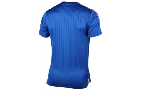 PUMA Soccer Jerseys Men’s Blue Moderate