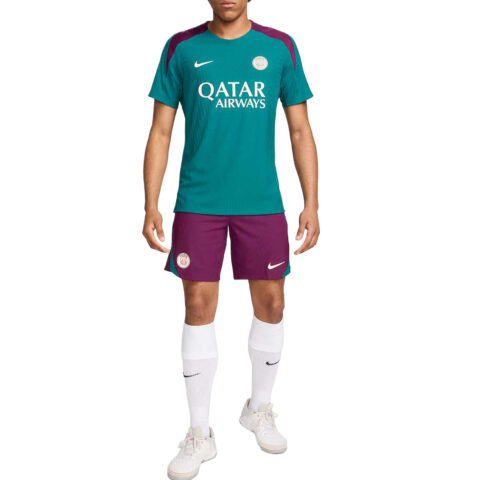 Nike Paris Saint GermainDri FIT ADV Elite Soccer Jersey Men’s