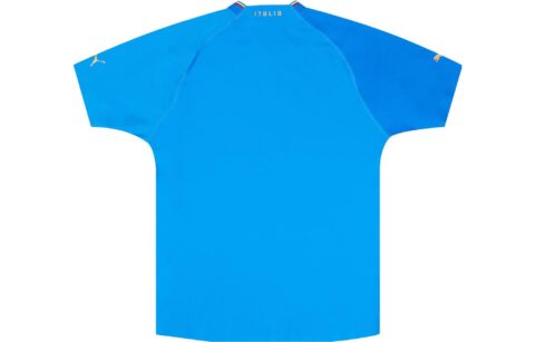 PUMA Soccer Jerseys Men’s Blue Moderate Straight Fit