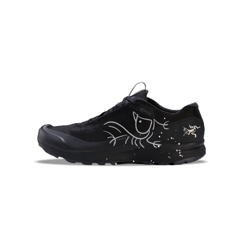 Arc’teryx Aerios FL Low top Running Shoes Men’s Black White