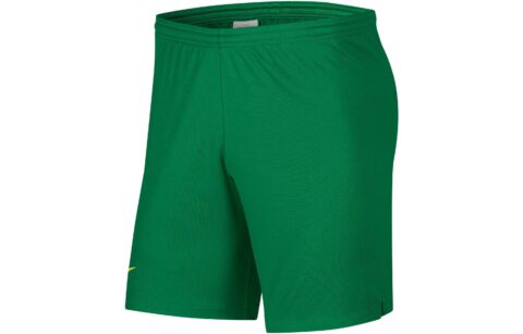 Nike Soccer Bottom Men’s Pine Green/Opeet Yellow