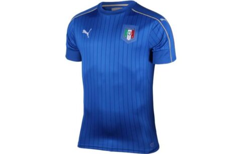 PUMA Soccer Jerseys Men’s Blue Moderate