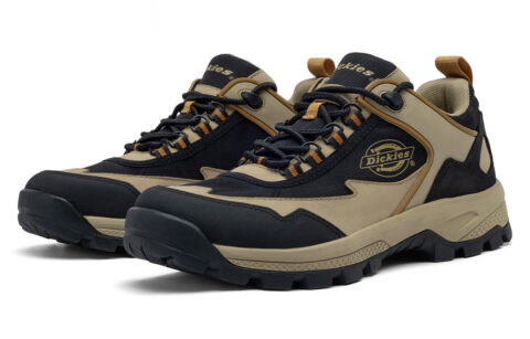 Dickies Low top Mountaineering Shoes Men’s Black Khaki