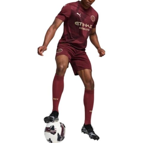 PUMA Jersey Alternativo Hombre Manchester City 24/25