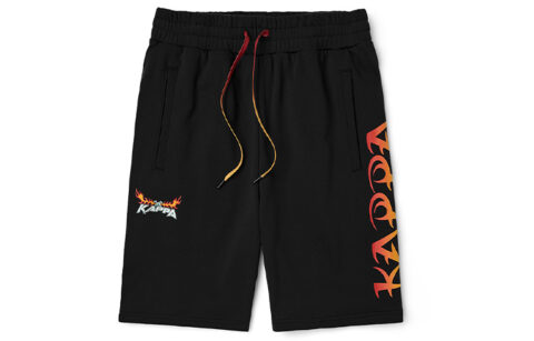 Kappa Sports Shorts Men’s Moderate