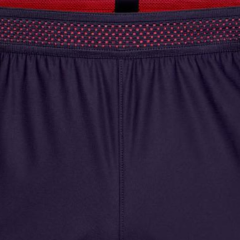 Nike Dri FitFC Barcelona 16/17 Vapor Match Soccer Bottom Men’s Purple/Pink