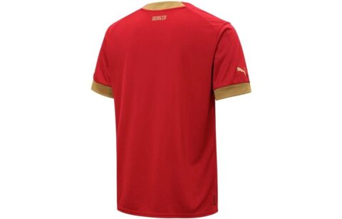 PUMA Soccer Jerseys Men’s Red Moderate Straight Fit