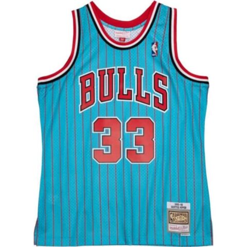 Mitchell Ness Scottie Pippen striped vest