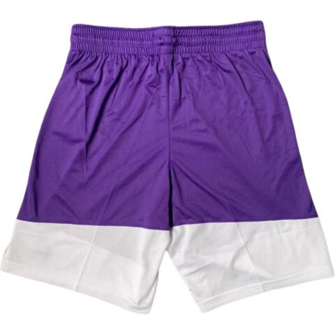 Nike Basketball Shorts Men’s Purple