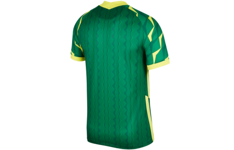 Nike Soccer Jerseys Men’s Green
