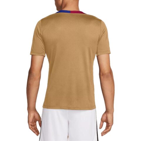 Nike x BASAILUONAZUQIUJULEBU,LIANMINGKUAN Dri Fit FCB MNK DF STRK SS TOP K Soccer Jersey Men’s Brown