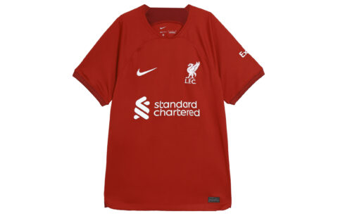 Nike Soccer Jersey Men's Dark Red
