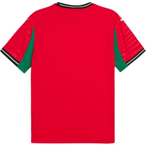 PUMA DRYCELL Soccer Jersey Men’s Pure Red/Fresh Mint