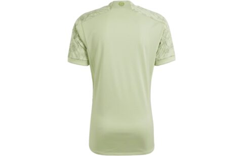 Adidas FC Bayern Soccer Jerseys Men’s Light Green Moderate Straight Fit