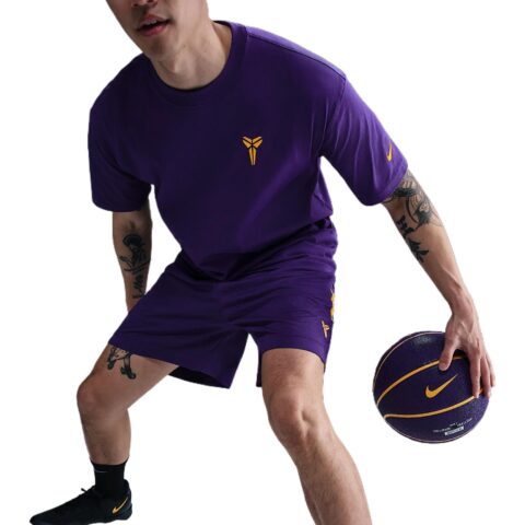 Nike Basketball Shorts Men’s Palace Purple