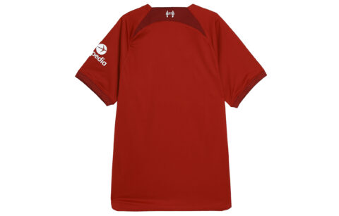Nike Soccer Jersey Men’s Dark Red